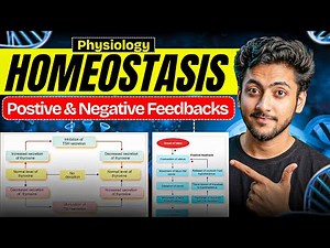 Physiology - Homeostasis | MBBS 1st Year | Explanation With Exam Notes |MBBS World