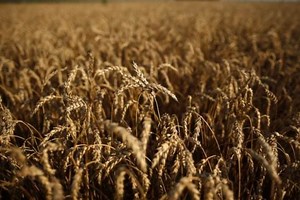 Crop insurance claims seen soaring to Rs 13,000 cr in 2016-17