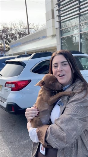 🐶🐱 Dogs, Cats, Puppies & Kittens - the time to ADOPT IS NOW! 🐾💛 We have a beautiful selection of adorable, adoptable animals rescued locally, nationally, and internationally - all waiting for someone just like YOU! 🌎✨ In this video, you’ll see plenty of cuteness… but guess what? We have even more incredible animals ready to meet you. The best way to find your new best friend is to stop by our Port Washington, New York Adoption Center and start making memories that will last a lifetime. 💕🏡