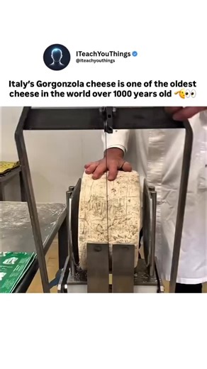 I Teach You Things on Instagram: "You might assume blue cheeses are a modern culinary invention. That assumption is incorrect. The video refers to Gorgonzola, one of the oldest known blue cheeses still produced today. The source is traditional Italian cheesemaking originating in the town of Gorgonzola, near Milan. Historical records trace Gorgonzola back over 1,000 years. It was originally made from cow’s milk in northern Italy. Natural molds create its characteristic blue-green veins. The chees