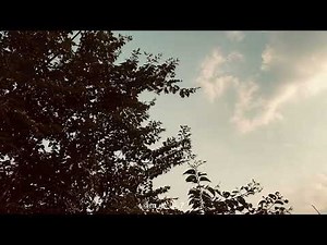 Everything Went Wrong – Murphy’s Law | MSI's