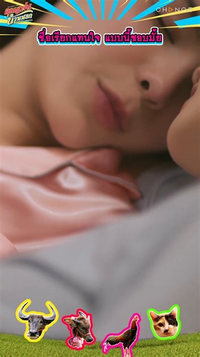 No matter how many times they show WanPleng, KlaoSi, even LMSY, in my eyes I only see PlengWan, SiKlao, and SYLM. I swear I’m not forcing it. It’s just what I see. Not talking about what they do in bed btw.