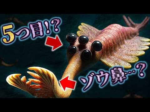 【ゆっくり解説】5つの目にゾウの鼻！？奇妙奇天烈な生物オパビニアとは何者か？
