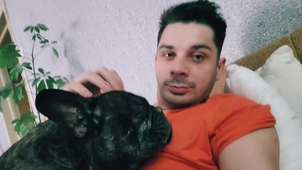 #рек#французскийбульдог