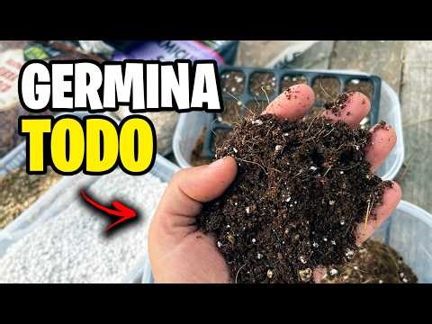 ¡Cómo Hacer el SUSTRATO PERFECTO para SEMILLEROS! 🌱 Paso a Paso