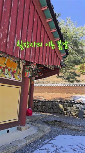 🌿칠장사의 이른 봄날 (2026.3월초),곡:혼자 떠나는 길#감성발라드