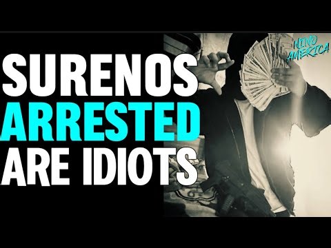 Indianapolis GANG SWEEP | Dumbest Criminals In The City & THE INTERNET