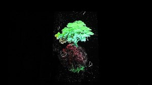 Ngapulara Ngarngarnyi Wirra (Our Family Tree)