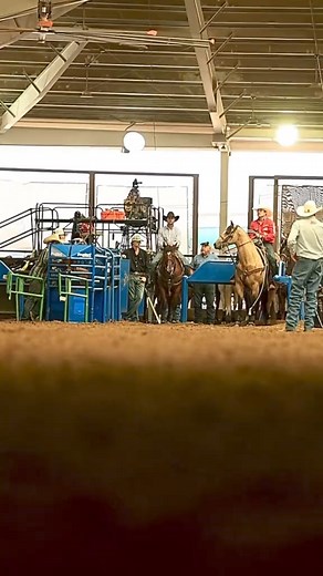 2K views · 76 reactions |  Ready to level up your roping? Our dummies are just what you need.  Shop now at cavilropingdummies.com! | CAVIL Roping Dummies | Facebook