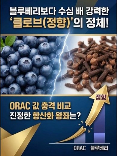블루베리보다 강력한 항산화, 클로브(정향)