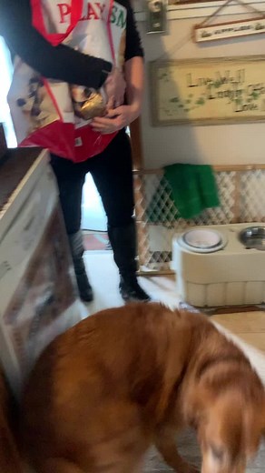 Kelly Andrews on TikTok