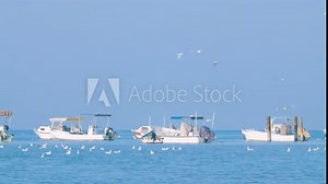 Seagulls flying over sea near Karbabad beach during low tide, Manamah, Bahrain