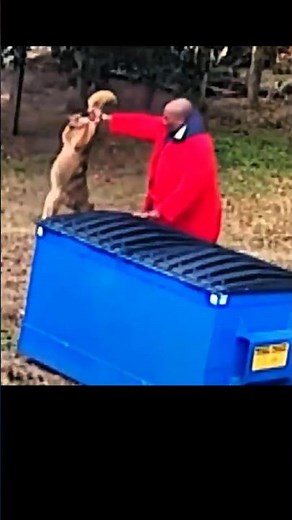 Man THROWS Mad COYOTE in TRASH Bin 😱
