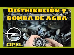 Tutorial: Cambio De Correa Distribución Y Bomba De Agua En Opel Vectra 1.9 DTH | Vegacar engine