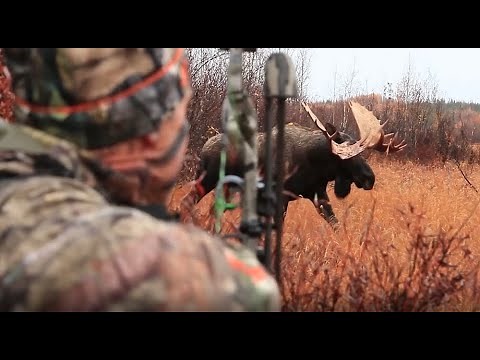 Alaska Yukon moose hunt with Mike Carney of Bowhunter TV