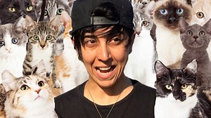 I Spent 24 Hours With 1,000 Cats | BuzzFeed Video