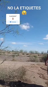 1.5M views · 12K reactions | Fuertes declaraciones. #indirectas #fiestasdecembrinas2024 #deliciaschihuahua #creadoresdecontenido #dreams La takiza de culiacan | Candelario Meza C. | Facebook