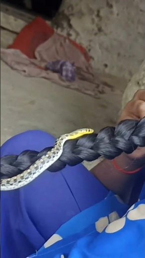 BBC study clases NEET//experiment class//biology experiment//chemistry experiment//har har Mahadev