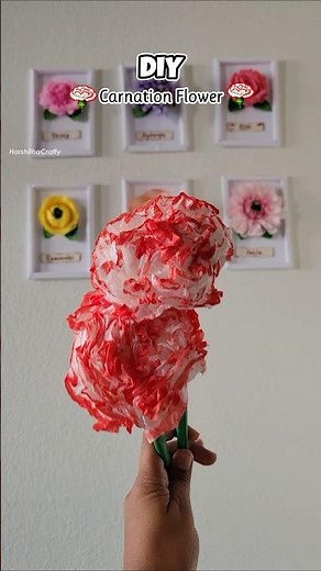 DIY How to Make a Carnation Flower🌸 | Easy Tissue Paper Flower