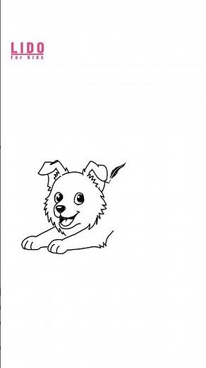 How to Draw a Cute Border Collie Easy Drawing for Kids and Beginners #lidoartworks