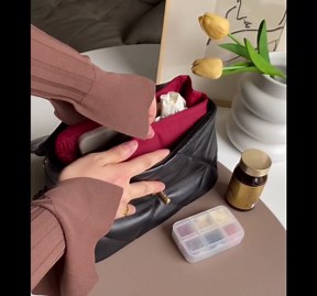 Custom 19 Bag Organizer Insert, Silky Purse Insert Compatible with Chanel 19 Flap/Jumbo/Maxi, Lightweight Bag-in-bag with Multiple Pockets (Custom Color)