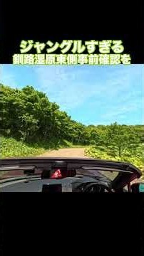 ジャングルすぎる #釧路湿原 東側適当に来た#初心者 🔰#末路 #ロードスター 🚗 #オープンカー温泉旅 #旅の思い出