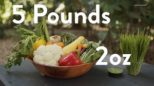 6.3K views · 129 reactions | Wheatgrass: Can It Really Transform Your Health? | Hippocrates Wellness | Facebook