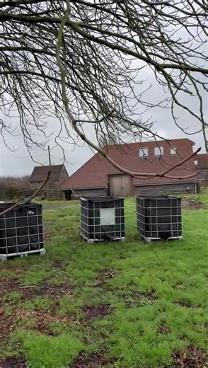 Composting Trials for Healthier Soil at Bank Farm