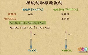 《4》碳酸钠与碳酸氢钠（1）