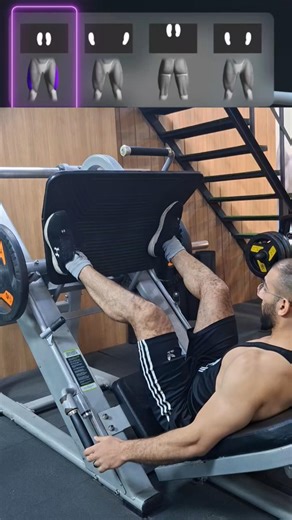 leg press variations.