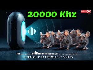 Mice Repellent Sound Test See What Happens When I Turn This On 10 Hours - SIlent is GOLD