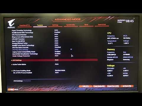How to Enable & Disable Undervoltage Protection on GIGABYTE Z690 AORUS PRO