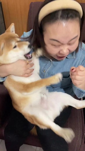 Pretend to eat your dog and see it’s reaction 😂 #dog #funny #funnyvideos #dogsoftiktok #pets #funnydog