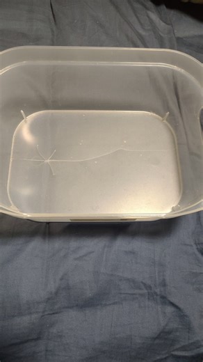 Decluttered December Day 19: 13 Movies #declutter #december #movie #dvd #donate #declutterchallenge