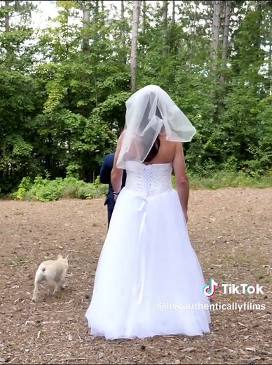 Wedding Bloopers: Hilarious Moments You Can't Miss