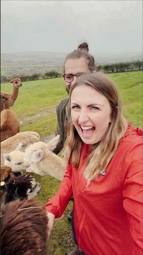 Feel the hwyl in Wales