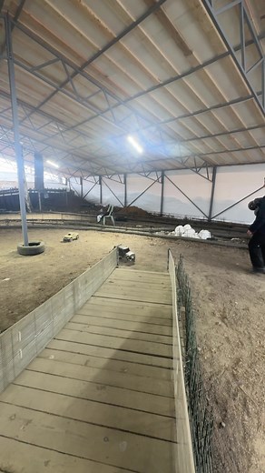 Sandwich Park on TikTok