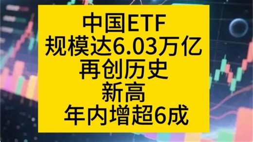 中国ETF规模达6.03万亿再创历史新高 年内增超6成