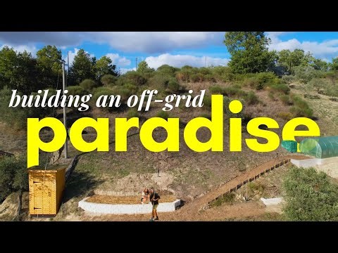 Turning ABANDONED Land Into OFF GRID Paradise (Our Dream Homestead)