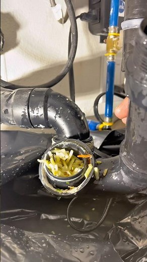 😳🚰🍔 Kitchen Sink Clogged? Here’s Why!