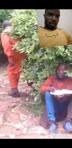 mission error �� | Kudzai Sean Machere