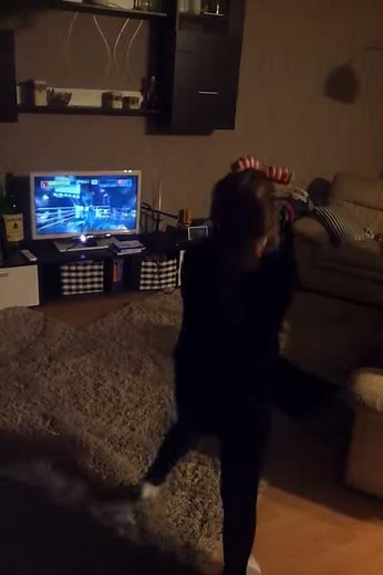 Xbox360 kinect boxing gameplay