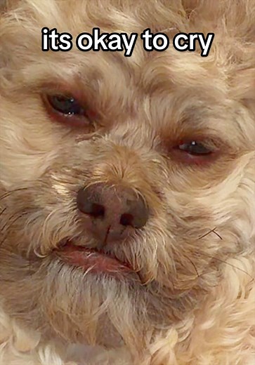 Jim Carrey's New Face and Emotional Resilience