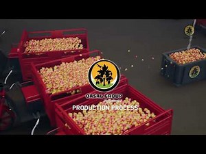 Bioethanol production process from cashew nuts 3D explainer video