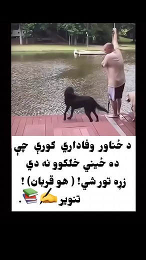 1.5M views · 10K reactions | تنویر 﫵紐✍️ | Tanveer Jan | Facebook