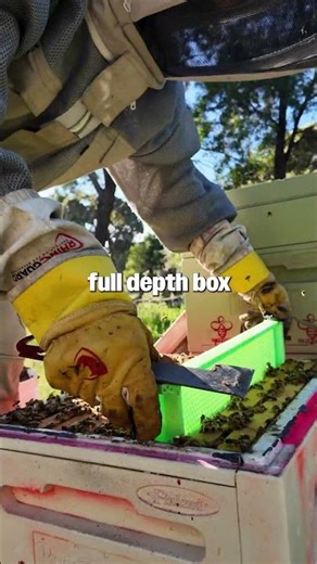 Green Drone Comb 🐝