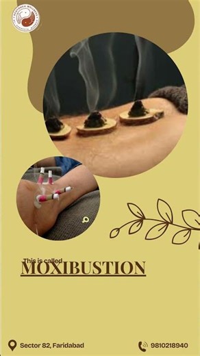 Moxibustion Therapy Explained 🔥 Can Heat Really Heal Your Body Naturally?
