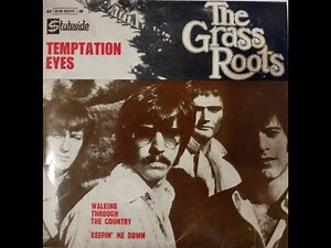 The Grass Roots - Temptation Eyes (4K/Lyrics)