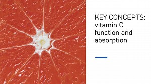 Key Concepts: Vitamin C function and absorption