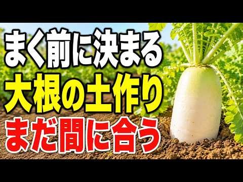 大根の形は種まき前に9割決まる！（太くまっすぐ育つ土作りから収穫までの60日を完全解説）まだ間に合う、種をまく前に見てください #大根の土作り #大根の育て方 #家庭菜園